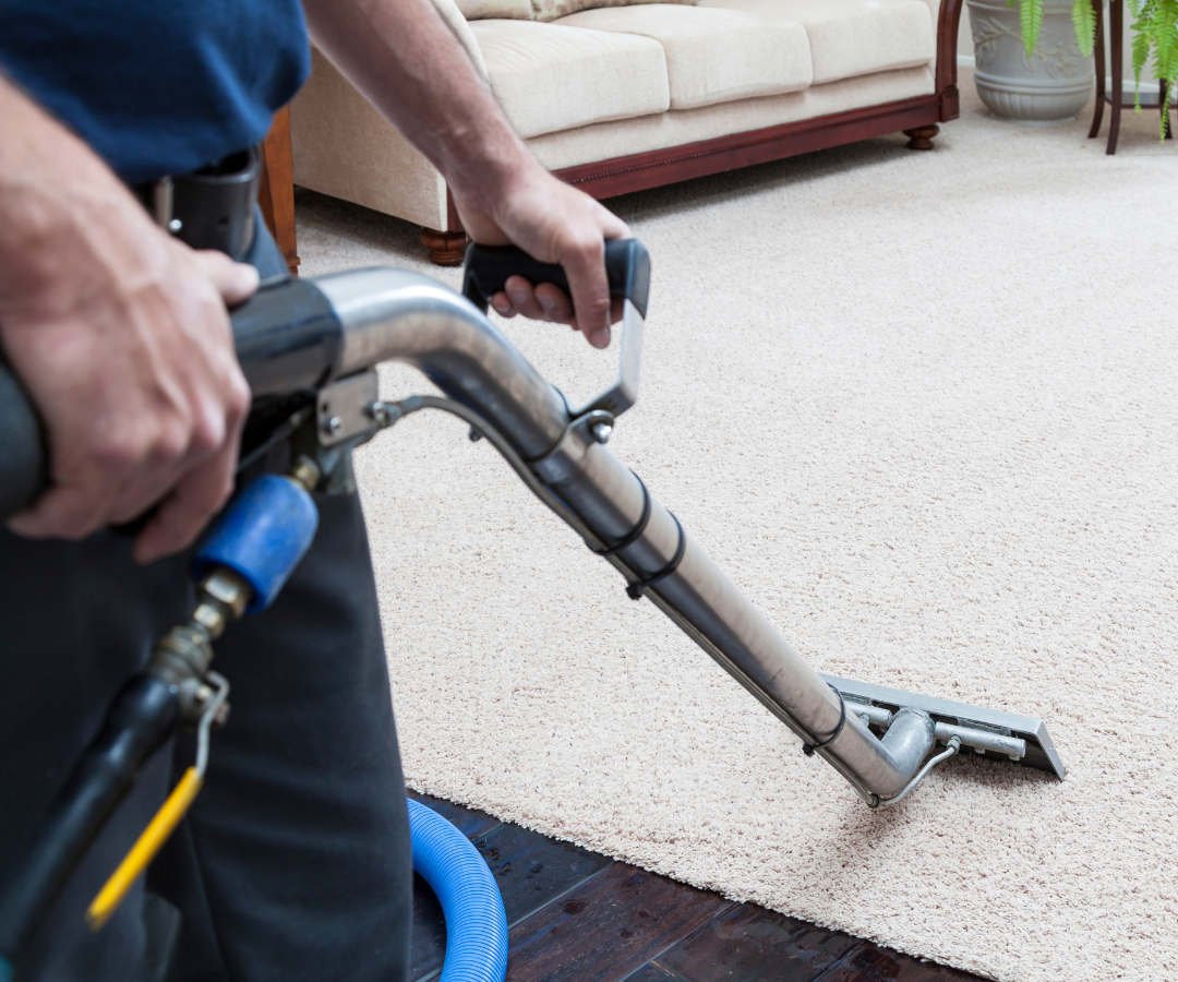 Cleaner: Image 1